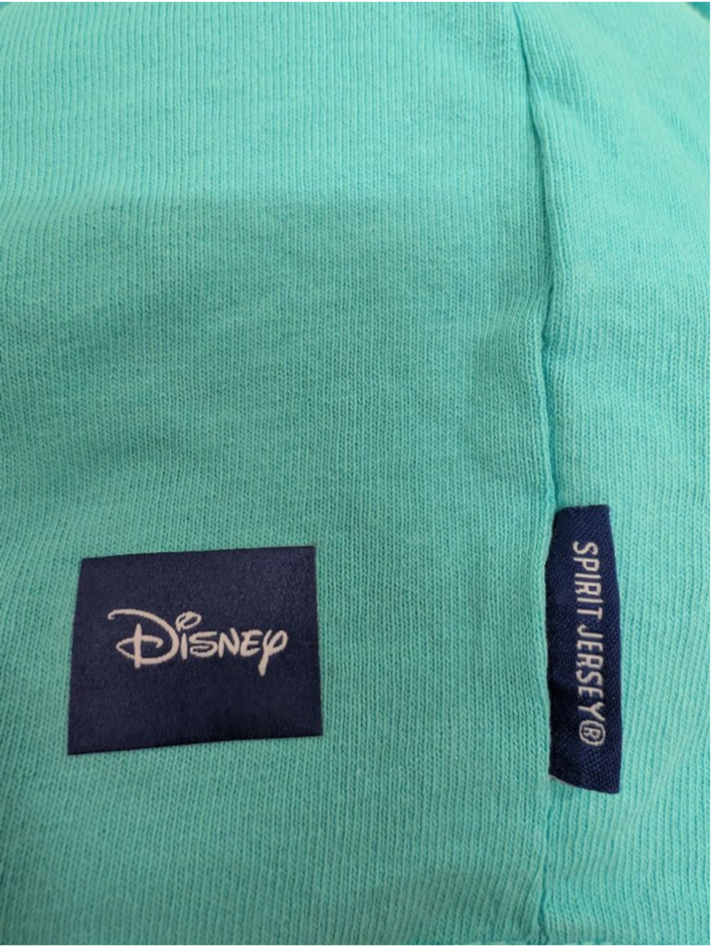 New Disneyland Spirit Jersey Aqua Long Sleeve Shirt Oversized XXL Mickey Minnie - Picture 7 of 7